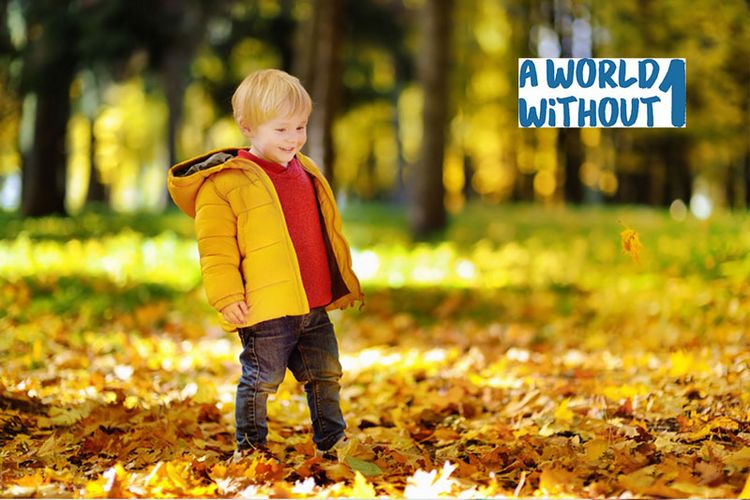 Ein kleiner Junge läuft in einem Park durch Laubblätter an einem sonnigen Herbsttag