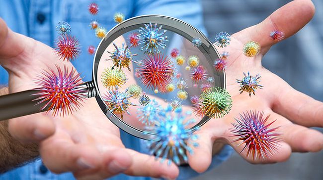 Blick durch eine Lupe auf mehrere Viren und Bakterien über hingehaltenen Händen. 