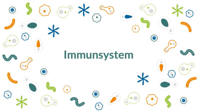Um das Wort "Immunsystem" befinden sich verschiedenen Symbole von krankheitserregenden Viren, Bakterien und andere Eindringlingen
