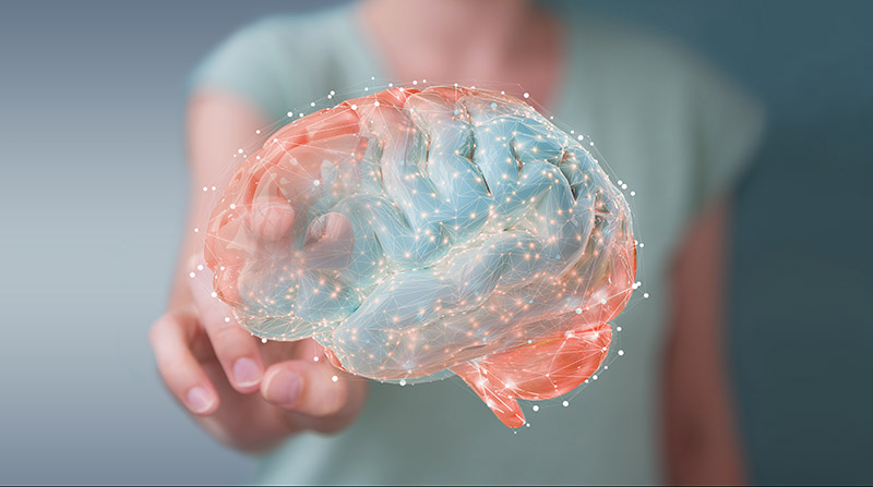Eine Frau berührt aus dem Hintergrund mit 2 Fingern eine 3D-Projektion eines Gehirns.